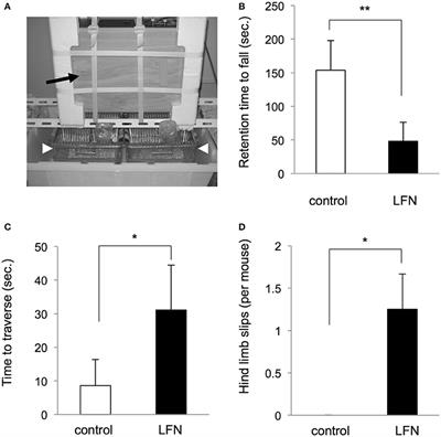 Risk Assessment of Neonatal Exposure to Low Frequency Noise Based on Balance in Mice